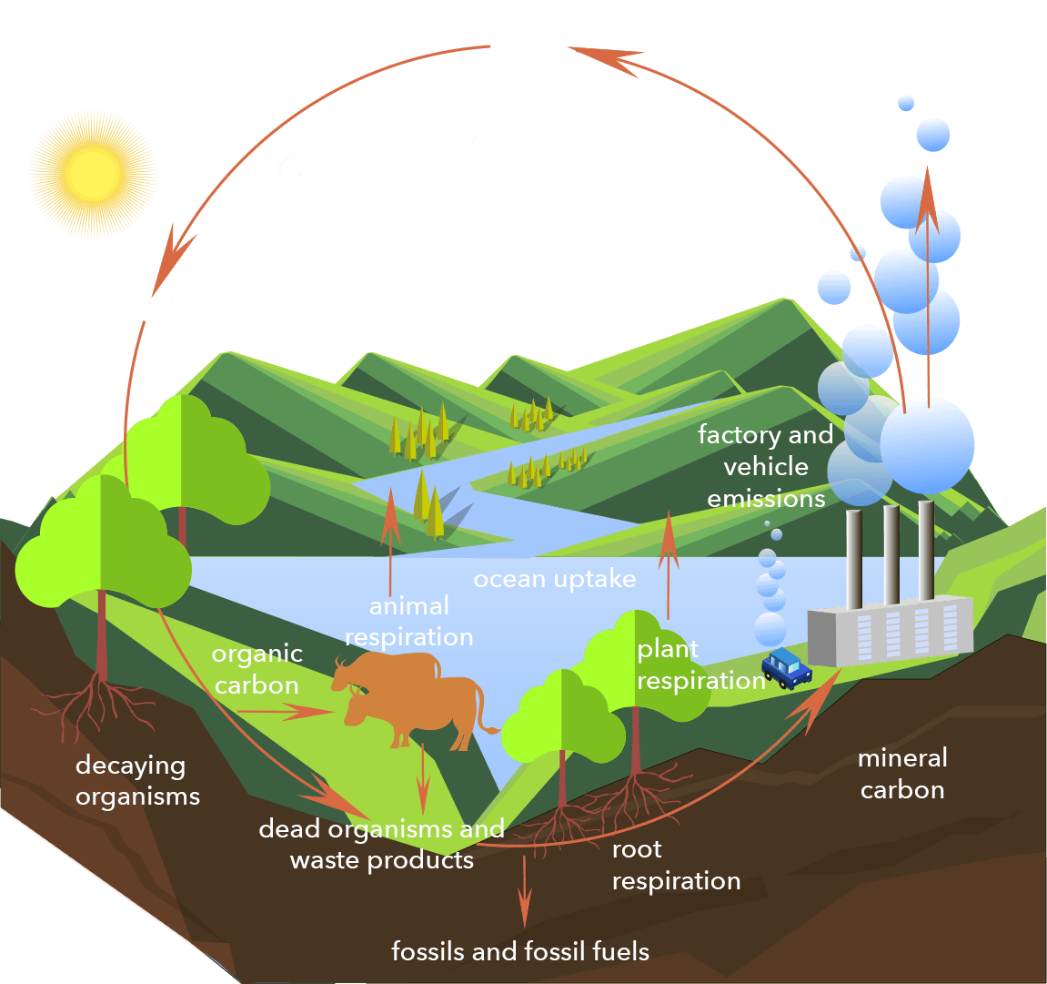 02-why_is_co2-important-1